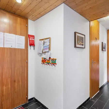 Emeraudes 404a Pres De La Telecabine A Avec Vue Sur Les Alpes Appartement Anzère
